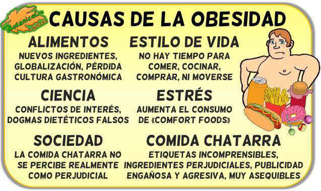 ¿cuáles Son Las Causas De La Obesidad Médicos Asociados